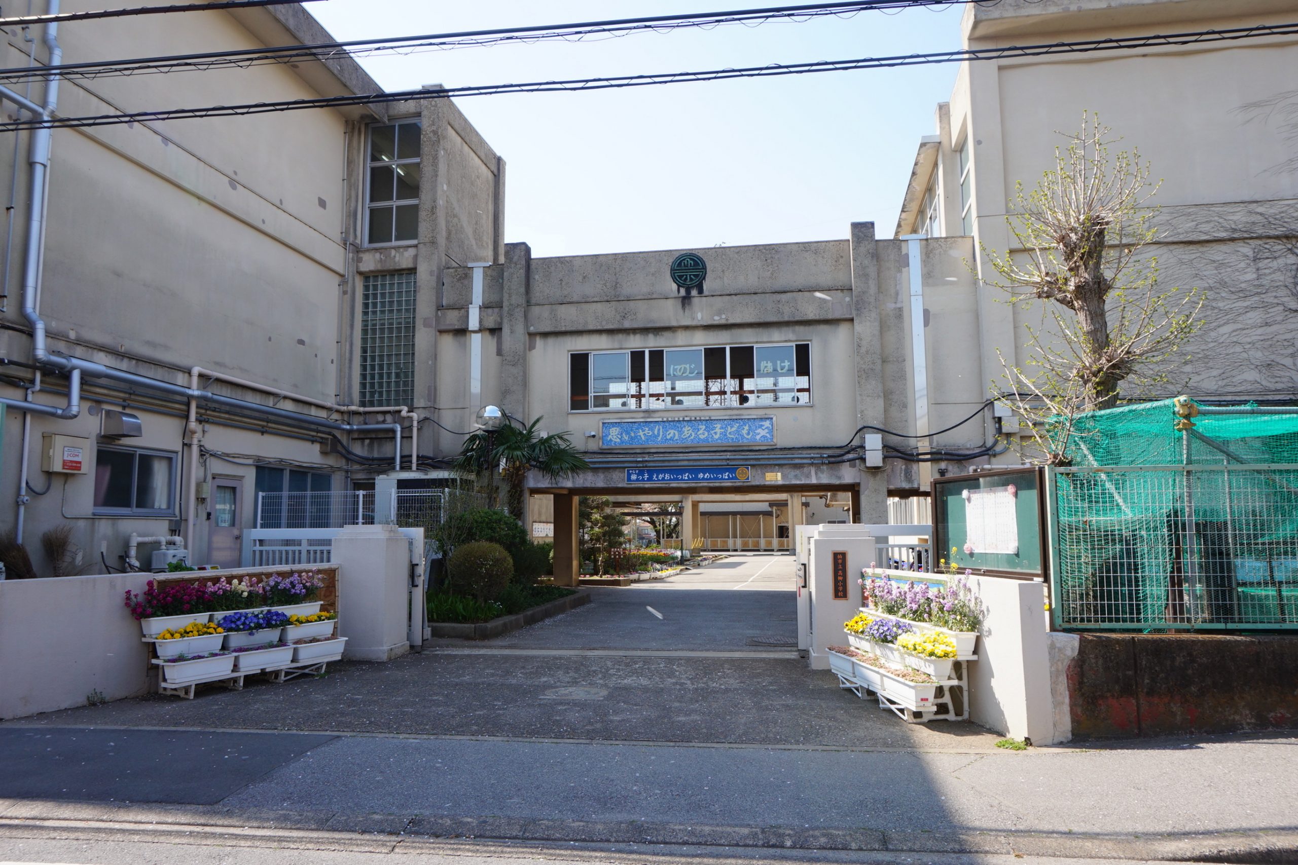 ロイヤルパークスA 柏市立高柳小学校