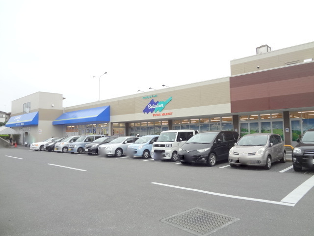 スーパー：FOODS MARKET Selection青葉台店　520m