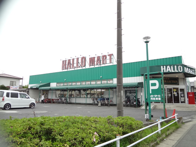 スーパー：ﾊﾛｰﾏｰﾄ南増尾店　1139m
