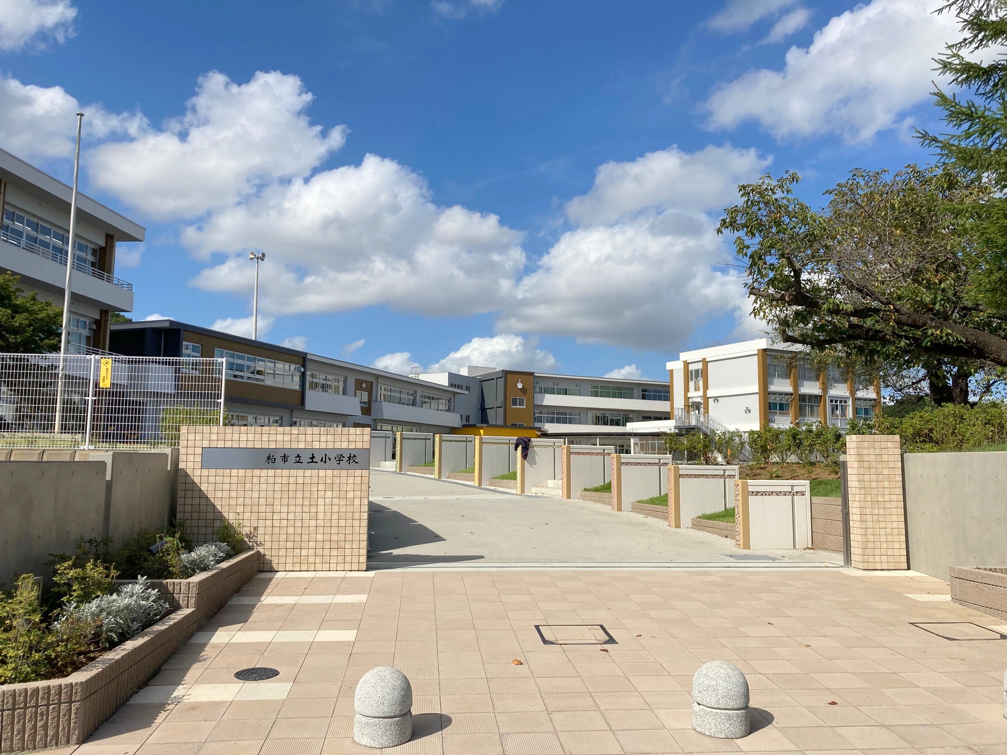 サンライト増尾 小学校