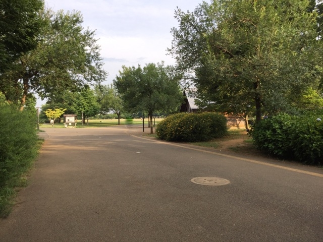 グリーンヒルズ 中原ふれあい防災公園