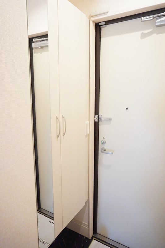 ボナール酒井根Ⅰ 姿見付きのシューズボックス