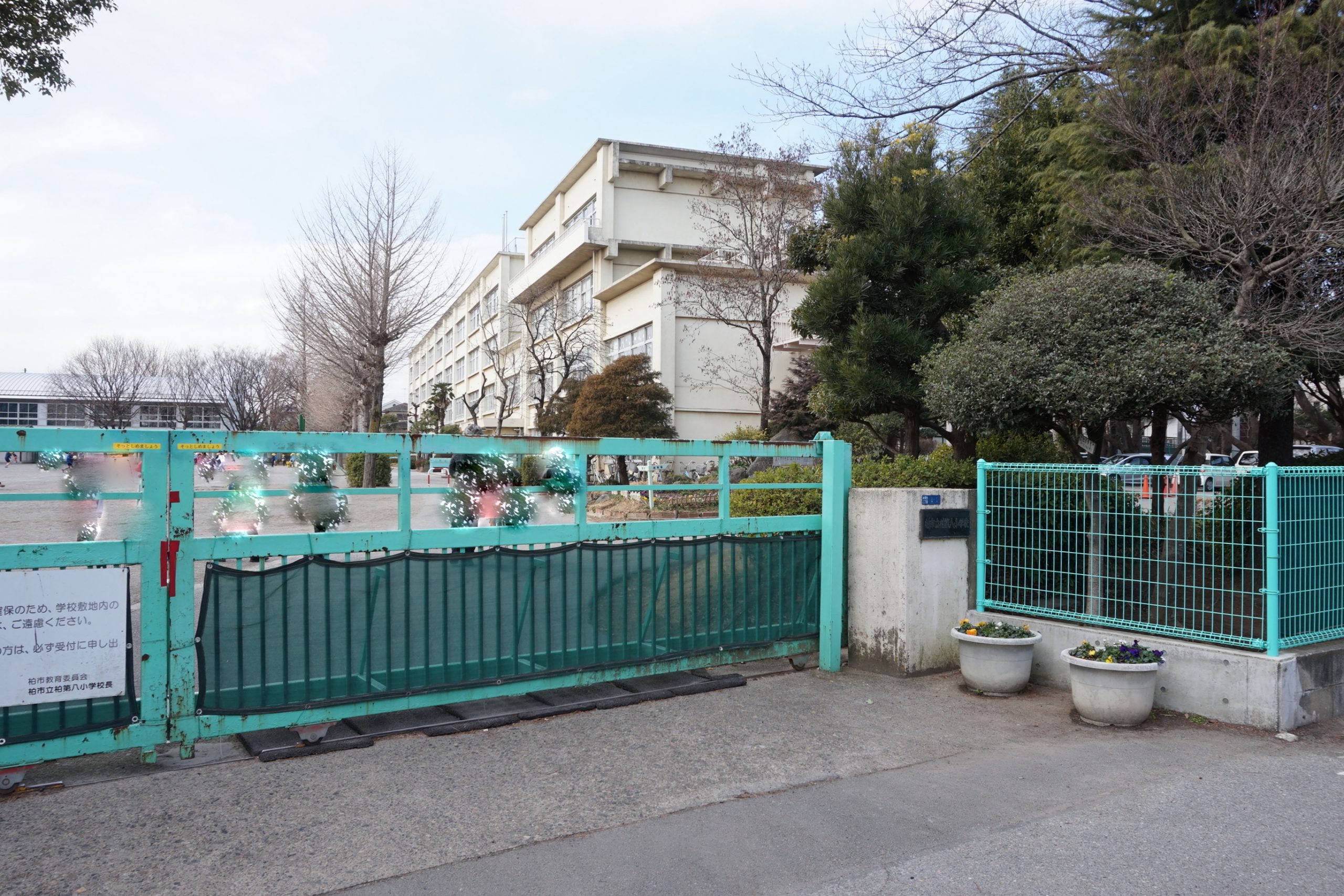 小学校：柏市立柏第八小学校　403m